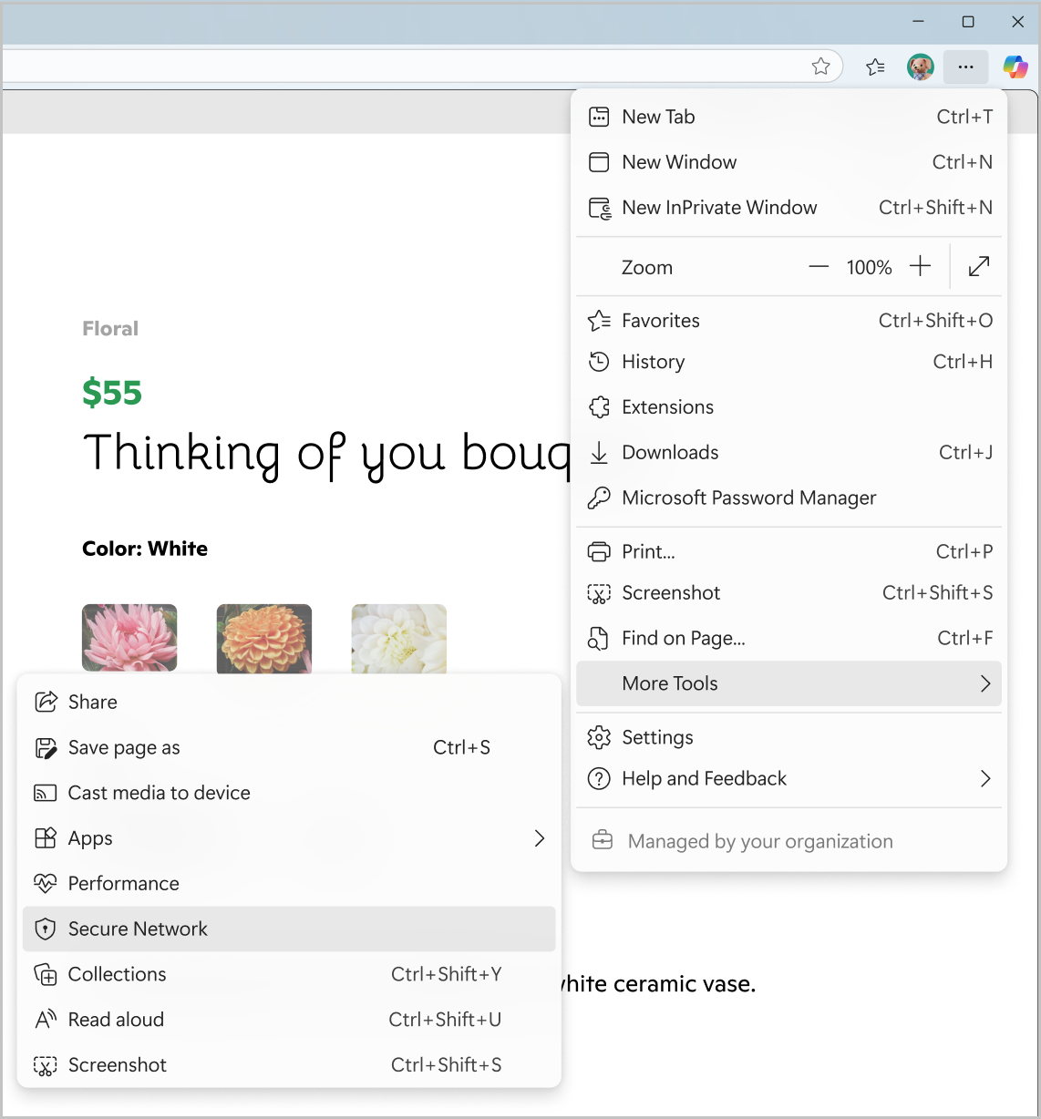Screenshot of Secure Network from Settings and more menu.