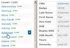 SharePoint list in Preview Pane view style with item titles on the left and all column values displayed vertically on the right