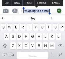 Screenshot of the text being highlighted.