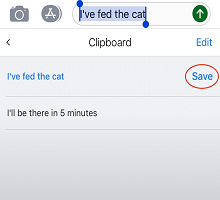 Screenshot of the Save option in the Clipboard.